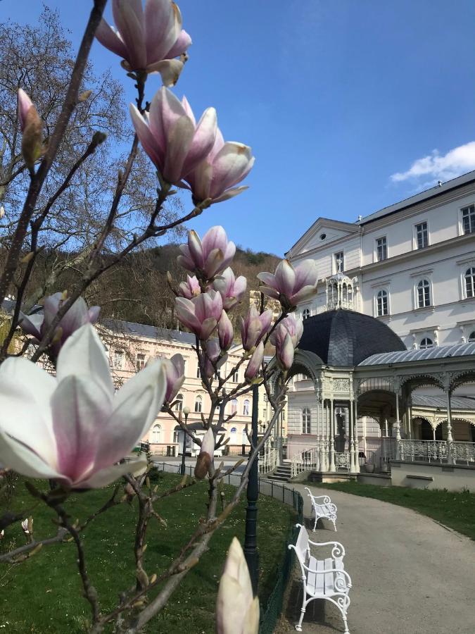 Apartment Sadova Karlsbad Buitenkant foto
